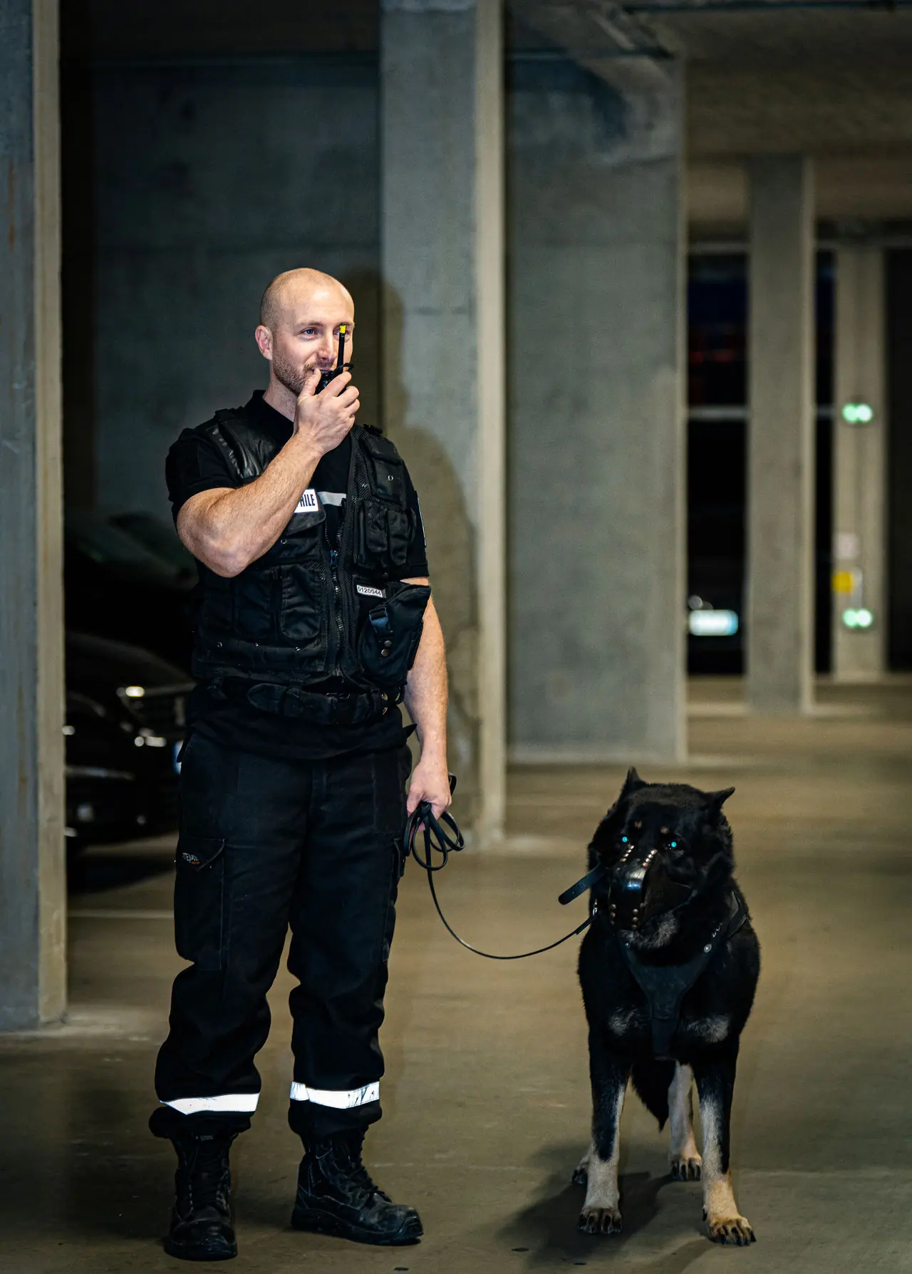 Agent NOX SECURITY avec son chien sur un site