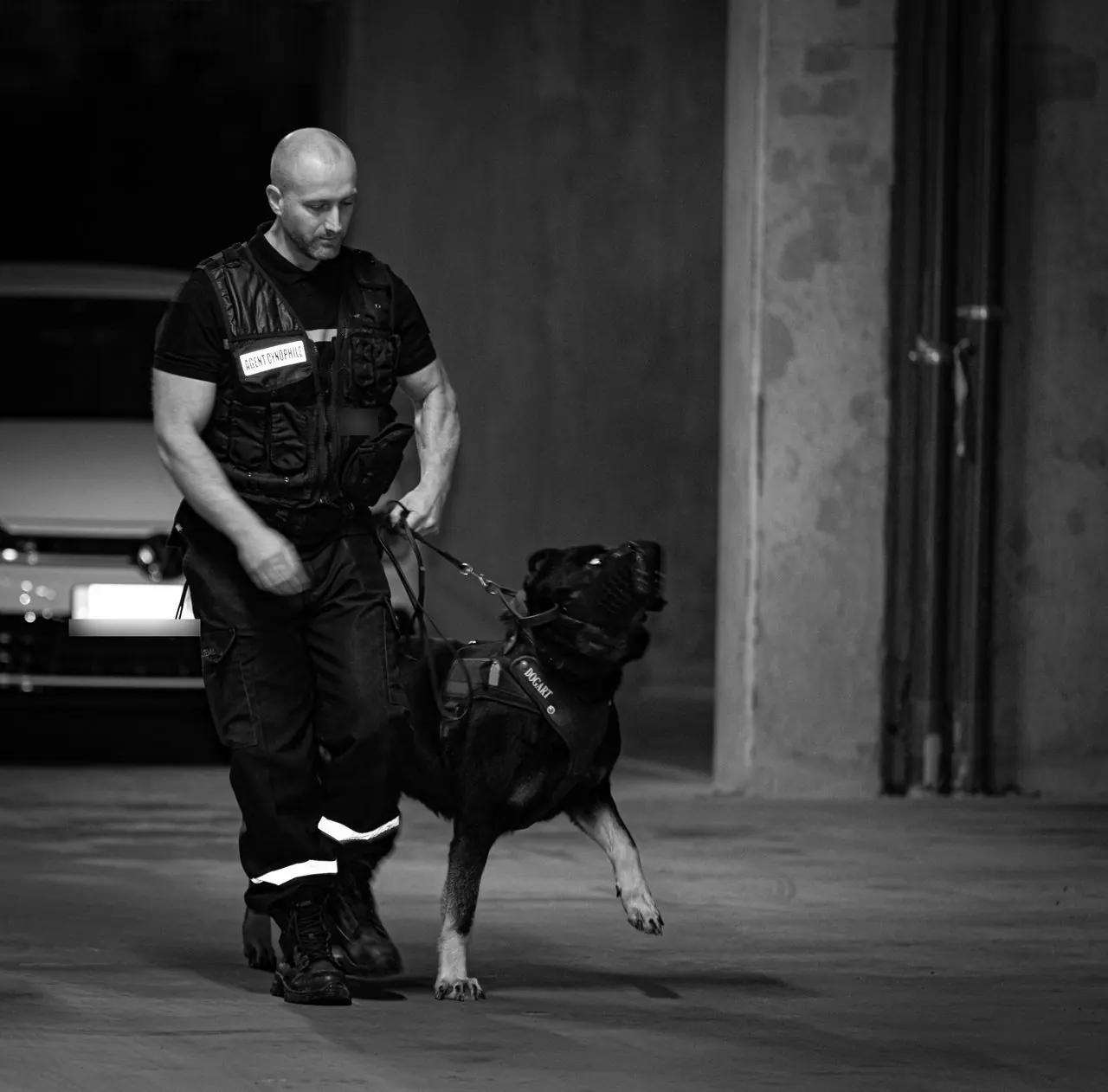 Agent cynophile NOX SECURITY marchant avec son chien tenu en laisse et muselé dans un parking